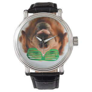 Montre Chien des images   de Getty avec des verres