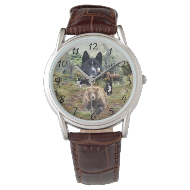 Montre Chien d'ours karélien (devant)