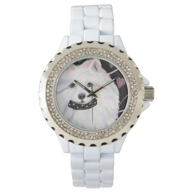 Montre Chien Esquimau Américain  (devant)