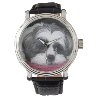 Montre Chien Shih Tzu