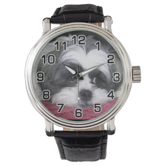Montre Chien Shih Tzu