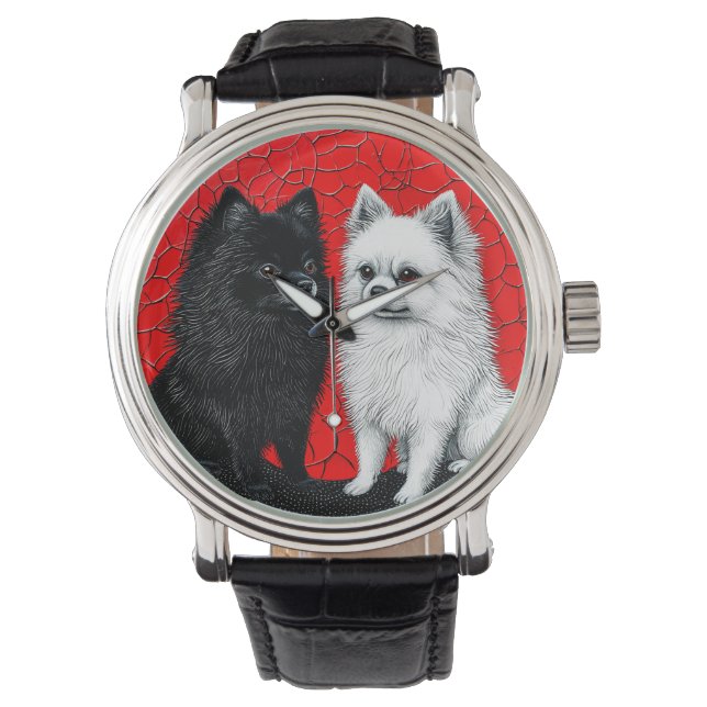 Montre chien spitz japonais (devant)