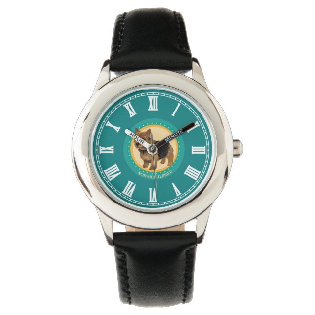 Montre Chien terrier norwich (devant)