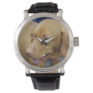 Montre Chien Vizsla