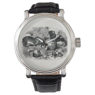 Montre Chiens de Guinée des années 1800 vintages Retro Vi
