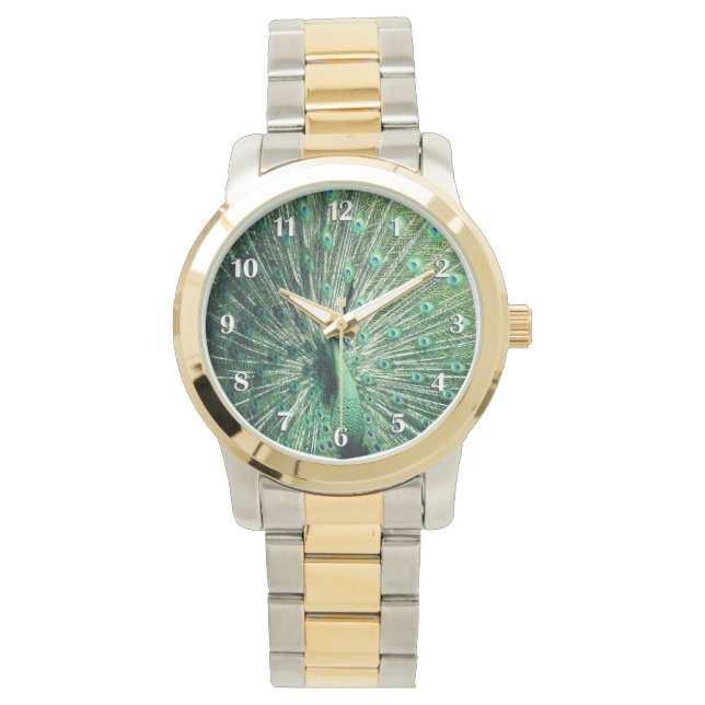 Montre Chiffres blancs de la chaîne de paon (devant)