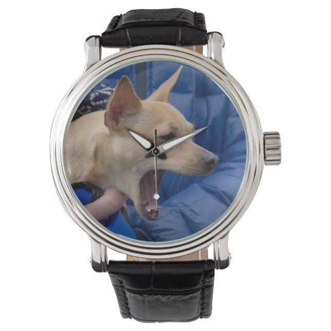 Montre Chihuahua hurle (devant)