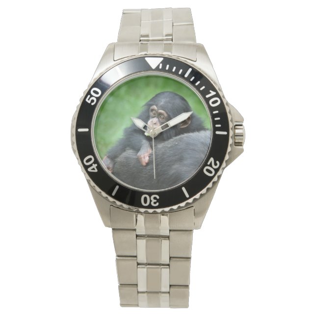 Montre Chimpanzée 005 (devant)