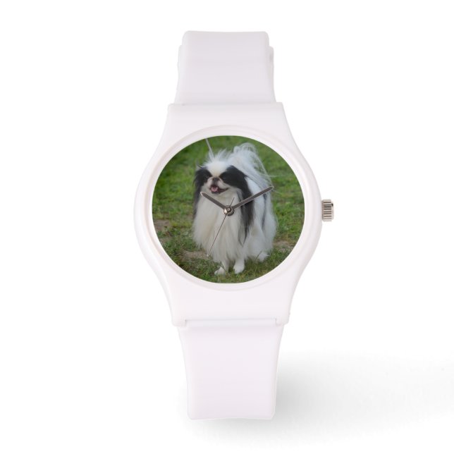Montre Chin japonais souriant (Recto)