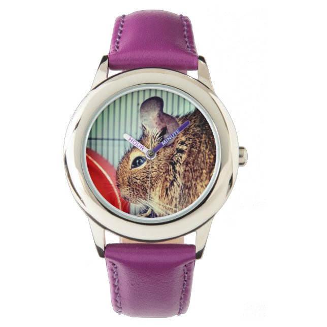 Montre Chinchilla (devant)