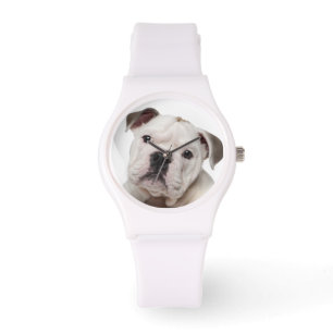 Montre Chiot anglais de bouledogue (2 mois)