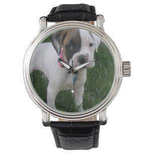 Montre Chiot blanc de boxeur