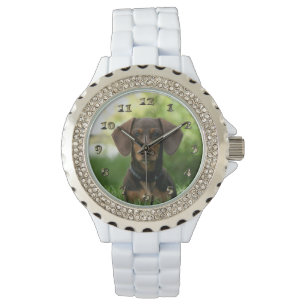 Montre Chiot Brown Dachshund