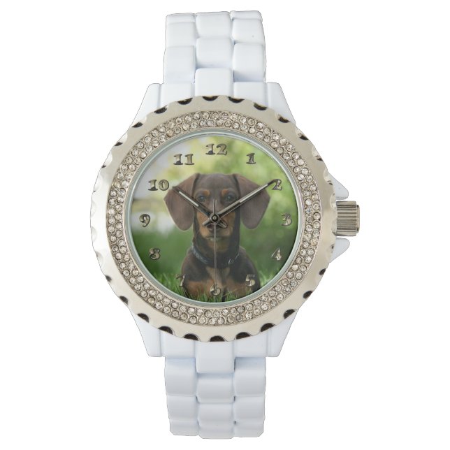 Montre Chiot Brown Dachshund (devant)