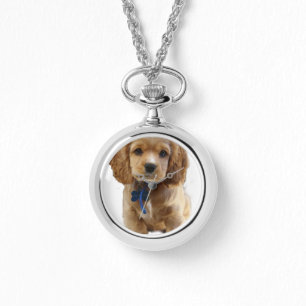 Montre Chiot de Cocker spaniel