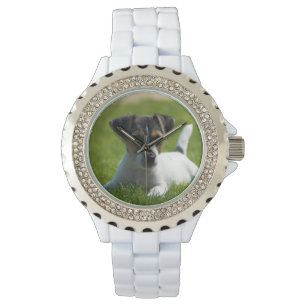 Montre Chiot de Jack Russel