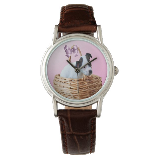 Montre Chiot Du Staffordshire Dans Un Panier, (devant)