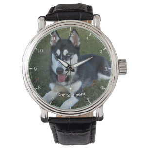 Montre Chiot sibérien Husky