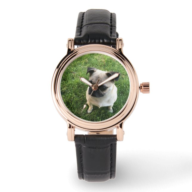 Montre Chiots Carlin (Recto)