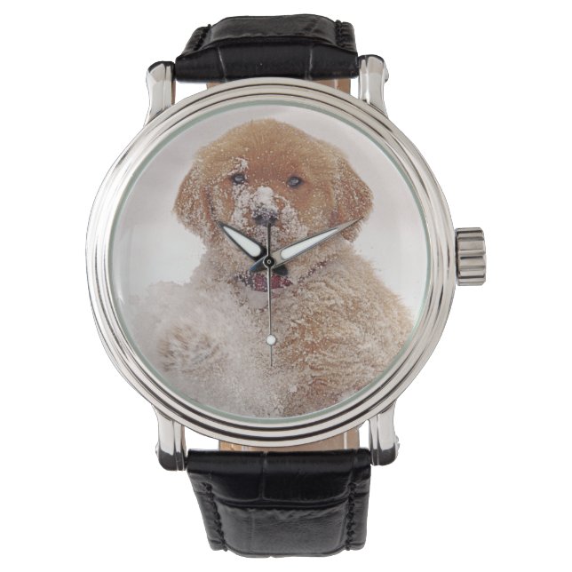 Montre Chiots Retriever doré dans la neige (devant)