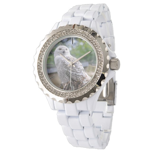 Montre Chouette à neige (Incliné)