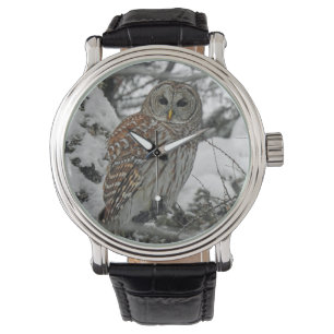 Montre Chouette Rayée