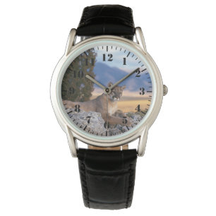 Montre Classique Homme / Lion de Montagne Sauvage