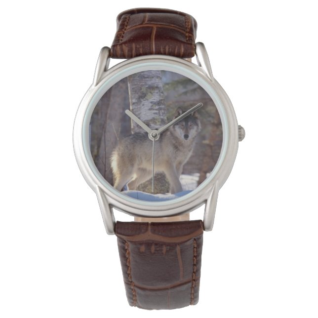 Montre Classique Hommes/Loup de la Faune (devant)