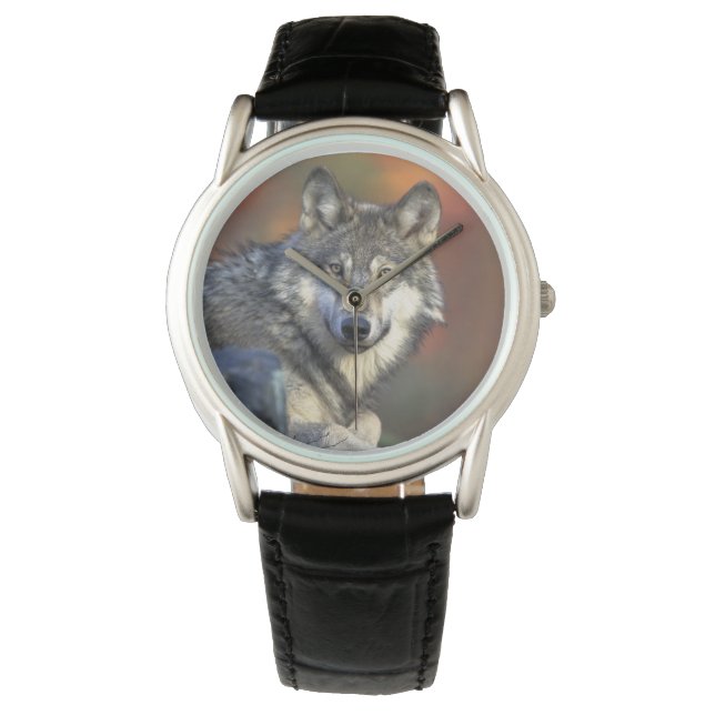 Montre Classique Hommes/Loup de la Faune (devant)
