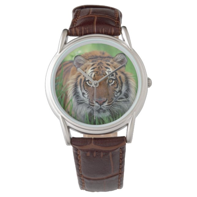 Montre Classique Hommes / Tigre de la Faune (devant)