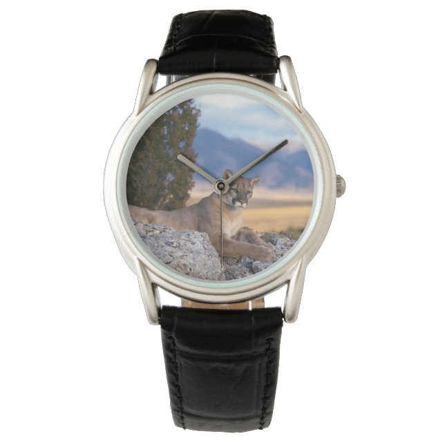 Montre Classique Mens/Lion de Montagne Faune (devant)
