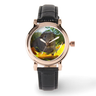 Montre Cobaye mignon en nature