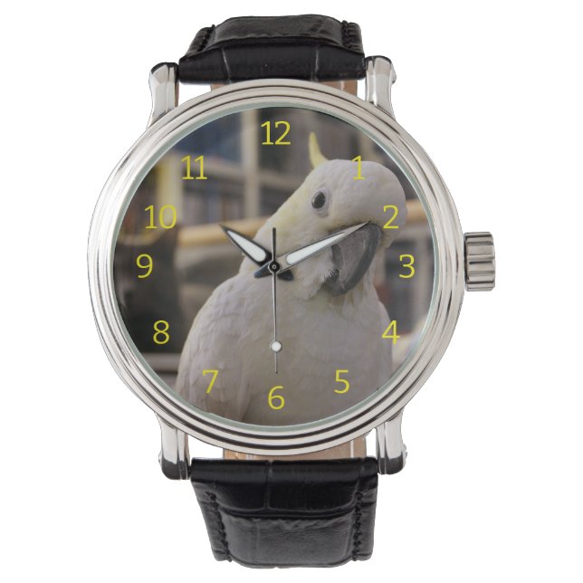 Montre Cockatoo (devant)