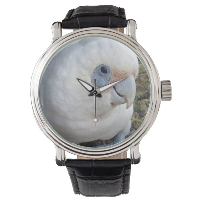 Montre Cockatoo blanc, (devant)