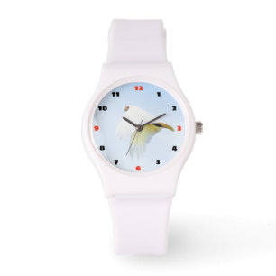 Montre Cockatoo blanc en vol