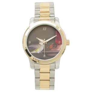 Montre Colibri à gorge rubis femelle