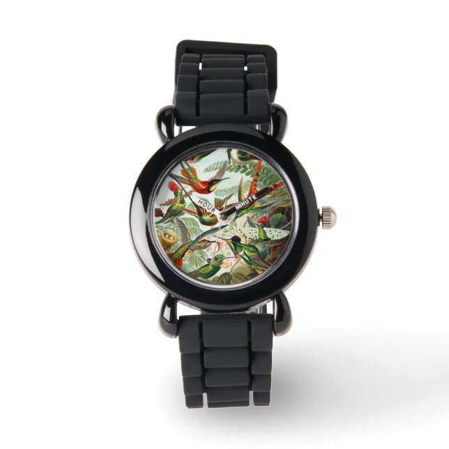 Montre Colibri par Ernst Haeckel (Recto)