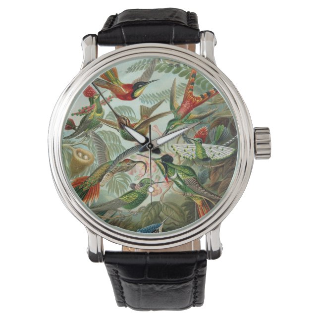Montre Colibris par Ernst Haeckel, Oiseaux Arbres Vintage (devant)