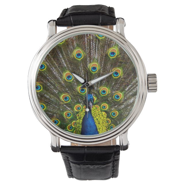 Montre Colorful peacock (devant)