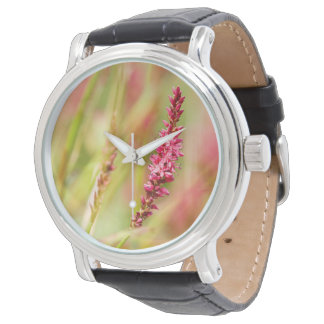 Montre coloris