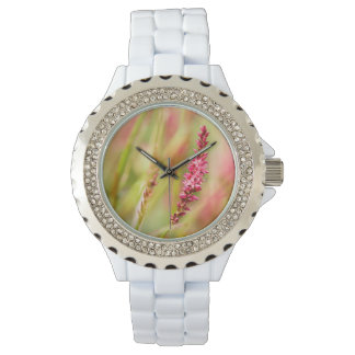 Montre coloris