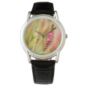 Montre coloris