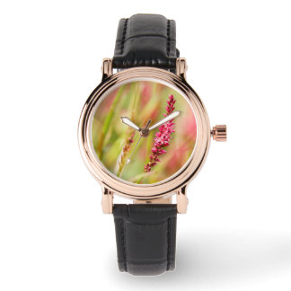 Montre coloris
