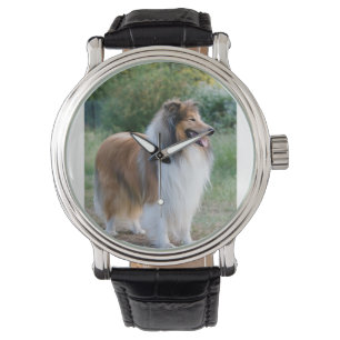 Montre complètement colley 5 rugueux