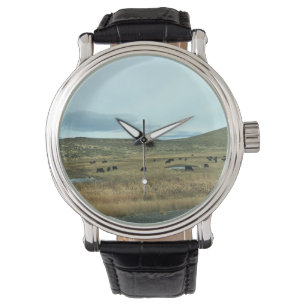 Montre Comté Rural de Baker, Oregon
