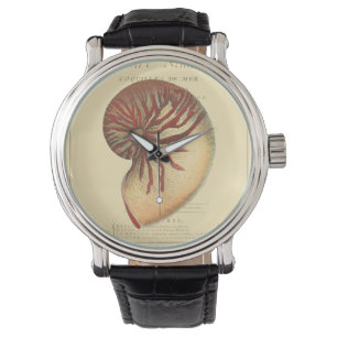 Montre Conque rouge vintage Shell