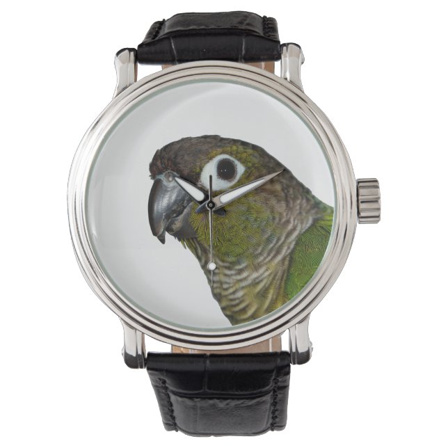 Montre Conure verte à mâcher (devant)