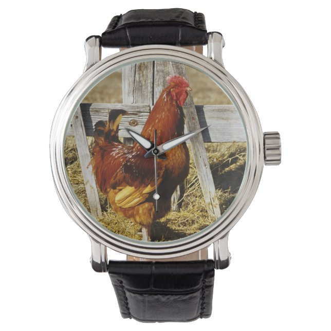 Montre Coq Rhode Island Red (devant)