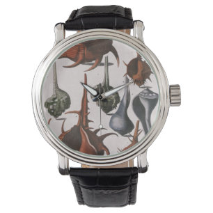 Montre Coquillages, Coquillages Marins Vintage, Vie Marin
