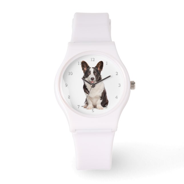 Montre Corgi (Recto)